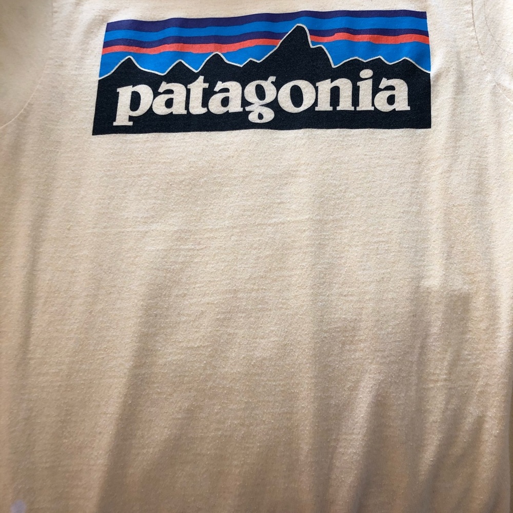 patagonia shirt